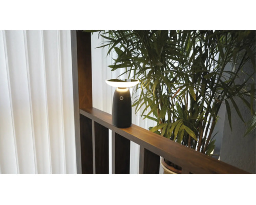 Lampe de table LED portable moderne sur une balustrade en bois foncé à côté de plantes vertes avec une lumière blanc chaud.