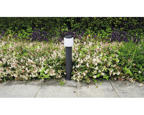 FLAIR luminaire solaire hybride Pollux anthracite