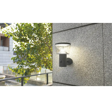 FLAIR éclairages solaire Ankaa gris