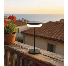 FLAIR éclairages solaire Lesath noir