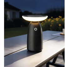 FLAIR éclairages solaire Castor noir