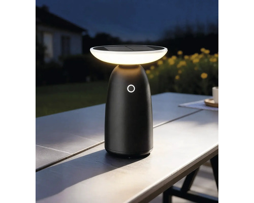 FLAIR éclairages solaire Castor noir