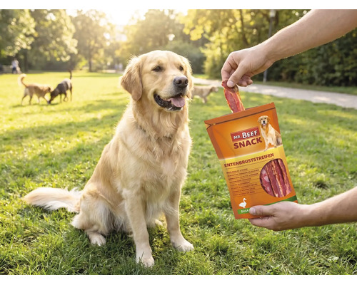 En-cas pour chiens Mr. Beef filets de canard 90 g en-cas à mâcher