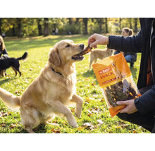 Friandises pour chiens MR. BEEF poumon de bœuf 400 g friandises à mâcher