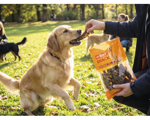 Friandises pour chiens MR. BEEF poumon de bœuf 400 g friandises à mâcher