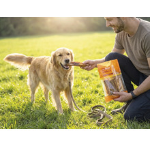 En-cas pour chiens, Mr. Beef Bullkau 15 cm 250 g friandises à mâcher