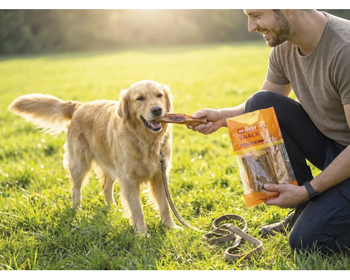 En-cas pour chiens, Mr. Beef Bullkau 15 cm 250 g friandises à mâcher