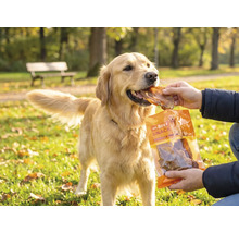 Friandises pour chiens MR. BEEF oreilles de bœuf 200 g friandises à mâcher