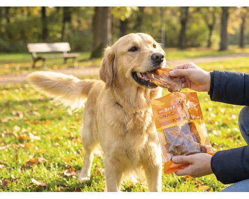 Friandises pour chiens MR. BEEF oreilles de bœuf 200 g friandises à mâcher