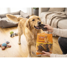 En-cas pour chiens, Mr. Beef Natura mélange à mâcher 500 g friandises à mâcher