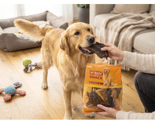 En-cas pour chiens, Mr. Beef Natura mélange à mâcher 500 g friandises à mâcher