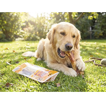 Friandises pour chiens MR. BEEF os de jambon 280 g friandises à mâcher
