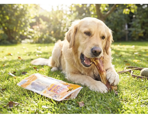 Friandises pour chiens MR. BEEF os de jambon 280 g friandises à mâcher