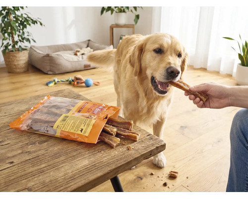 En-cas pour chiens, Mr. Beef Carne sticks à mâcher 250 g friandises à mâcher