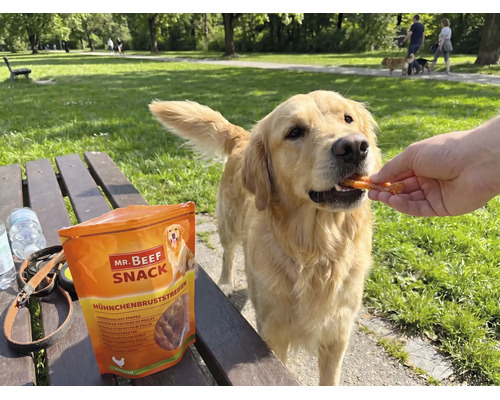 En-cas pour chiens Mr. Beef filets de poulet 90 g en-cas à mâcher