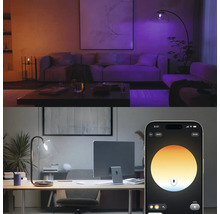 Contrôle intelligent de l éclairage via application pour salon et bureau, différentes couleurs et températures de lumière réglables.