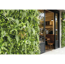 Jardin vertical avec fougères et plantes artificielles à côté d'une entrée de café vitrée avec cadre noir.