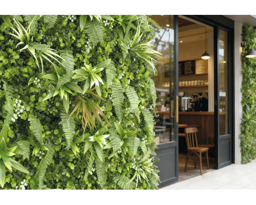 Jardin vertical avec fougères et plantes artificielles à côté d'une entrée de café vitrée avec cadre noir.