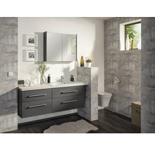 Salle de bain moderne avec meuble sous-vasque gris foncé, lavabo blanc, armoire de toilette et carrelage mural gris effet pierre.