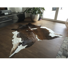 Tapis en peau de vache marron et blanc sur parquet dans un salon moderne et lumineux avec une grande plante.