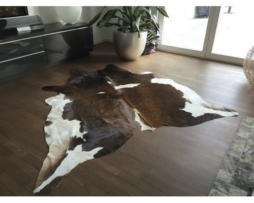 Tapis en peau de vache marron et blanc sur parquet dans un salon moderne et lumineux avec une grande plante.