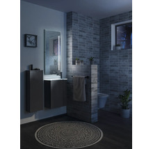 Salle de bain moderne avec meuble sous vasque, armoire haute, miroir éclairé, toilettes suspendues, carrelage gris foncé et tapis à motifs.