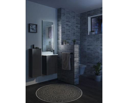 Salle de bain moderne avec meuble sous vasque, armoire haute, miroir éclairé, toilettes suspendues, carrelage gris foncé et tapis à motifs.