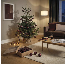 Festliches Wohnzimmer mit einer Nordmanntanne, geschmückt mit dunkelroten Weihnachtskugeln und LED-Lichterkette, neben Sofa und Couchtisch.