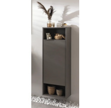 Armoire de salle de bain murale avec surfaces de rangement ouvertes et une porte, design moderne avec accessoires et paniers.