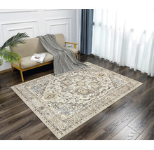 Rechteckiger Teppich mit orientalischem Muster im Vintage-Stil auf dunklem Holzboden in einem hellen Wohnzimmer mit Sofa und Pflanze.