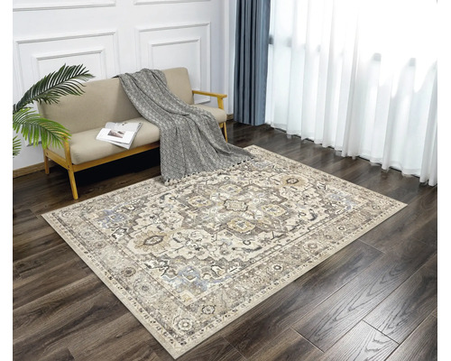 Rechteckiger Teppich mit orientalischem Muster im Vintage-Stil auf dunklem Holzboden in einem hellen Wohnzimmer mit Sofa und Pflanze.
