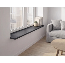 Rebord de fenêtre noir dans un salon moderne et lumineux avec canapé, parquet, livres et plante sur le rebord.