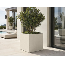 Grand bac à fleurs carré avec plante sur une terrasse moderne et lumineuse à côté d'une piscine.