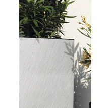 Lechuza Pflanzgefäß mit Steinstruktur, bepflanzt mit einem Oleander und ausgestattet mit einem Wasserstandsanzeiger.