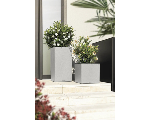 Zwei moderne Lechuza Pflanzgefäße in Schieferoptik mit blühenden Pflanzen auf hellen Steinstufen vor einem Hauseingang.