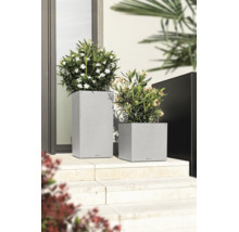 Deux bacs à fleurs Lechuza modernes, aspect ardoise, avec des plantes fleuries sur des marches en pierre claire devant une entrée.