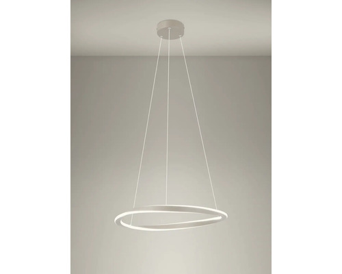 Suspension LED moderne en forme d'anneau avec suspension par câbles pour montage au plafond.