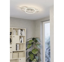 Plafonnier LED moderne à quatre anneaux dans un salon lumineux à côté d'une étagère et d'une plante Monstera.