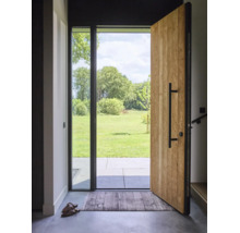 Geöffnete Haustür aus Holz mit schwarzem Stangengriff und Glaselement, Blick auf eine Terrasse und eine grüne Wiese mit Bäumen.