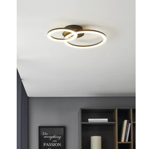 Plafonnier LED moderne avec deux anneaux lumineux dans une pièce lumineuse et organisée au-dessus d'une étagère.