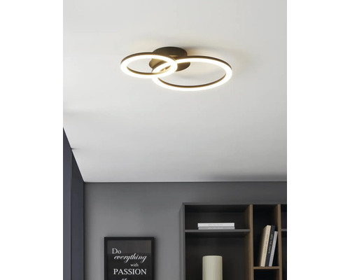 Plafonnier LED moderne avec deux anneaux lumineux dans une pièce lumineuse et organisée au-dessus d'une étagère.