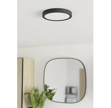Plafonnier rond moderne dans une pièce lumineuse avec un miroir arrondi, un meuble en bois et une plante.