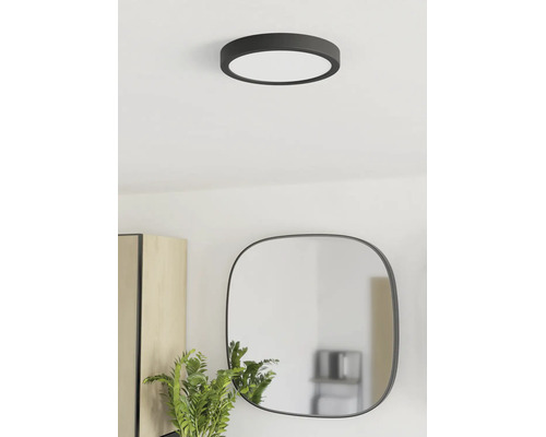 Plafonnier rond moderne dans une pièce lumineuse avec un miroir arrondi, un meuble en bois et une plante.