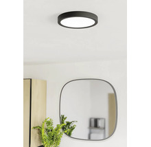 Plafonnier LED rond moderne en noir dans une pièce lumineuse au-dessus d'un miroir et d'une plante.