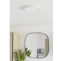 Plafonnier LED rond et plat installé dans une pièce lumineuse avec miroir et plante.