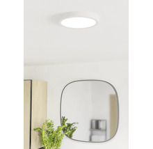Plafonnier LED plat et rond dans une pièce lumineuse au-dessus d'un miroir et d'une plante.