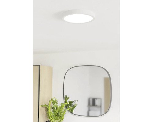 Plafonnier LED plat et rond dans une pièce lumineuse au-dessus d'un miroir et d'une plante.