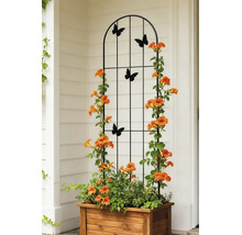 Treillis en métal noir avec motifs de papillons dans un bac à fleurs en bois avec des plantes grimpantes aux fleurs orange.