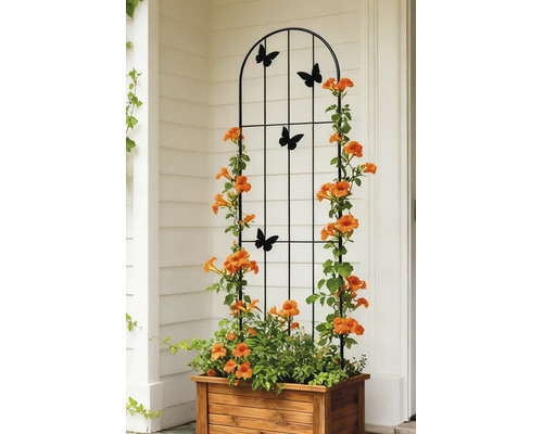 Treillis en métal noir avec motifs de papillons dans un bac à fleurs en bois avec des plantes grimpantes aux fleurs orange.