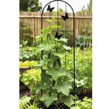 Treillis en métal arqué avec motifs de papillons supportant un plant de concombre dans un jardin potager lumineux.